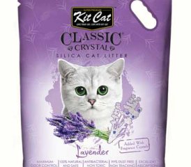 MÙI LAVENDER - Cát vệ sinh cho mèo KitCat clump ( dạng sỏi ) 5L